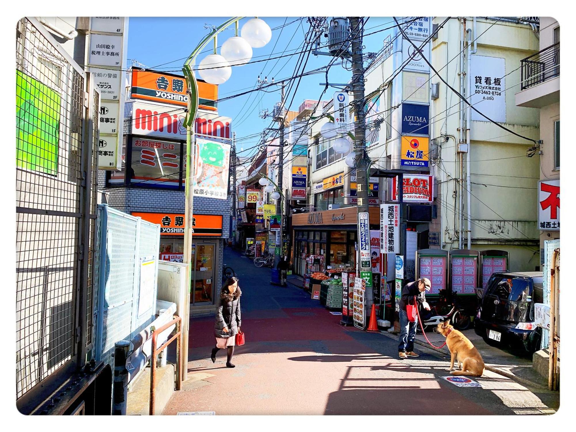 Tokyo/shinjuku & Shibuya 10mins/5mins Walk To Subway Stiaon/kichijoji 15mins/shimokitazawa 5mins/louis House Tokio